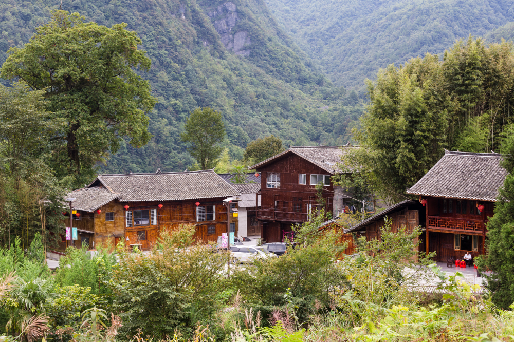 f788f4c59fa8836c11d8da2b552820d5.png f788f4c59fa8836c11d8da2b552820d5.png